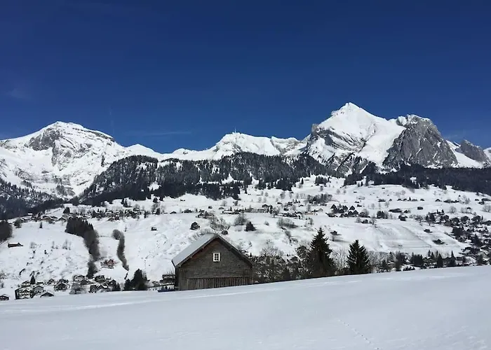 Apartment Dachwohnung Zentrum